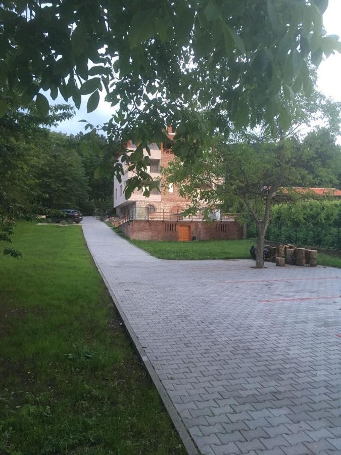 Vila Akademik A1 Soko Banja Exteriér fotografie